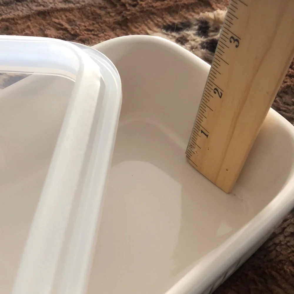 Rae Dunn DELISH ceramic food storage container
